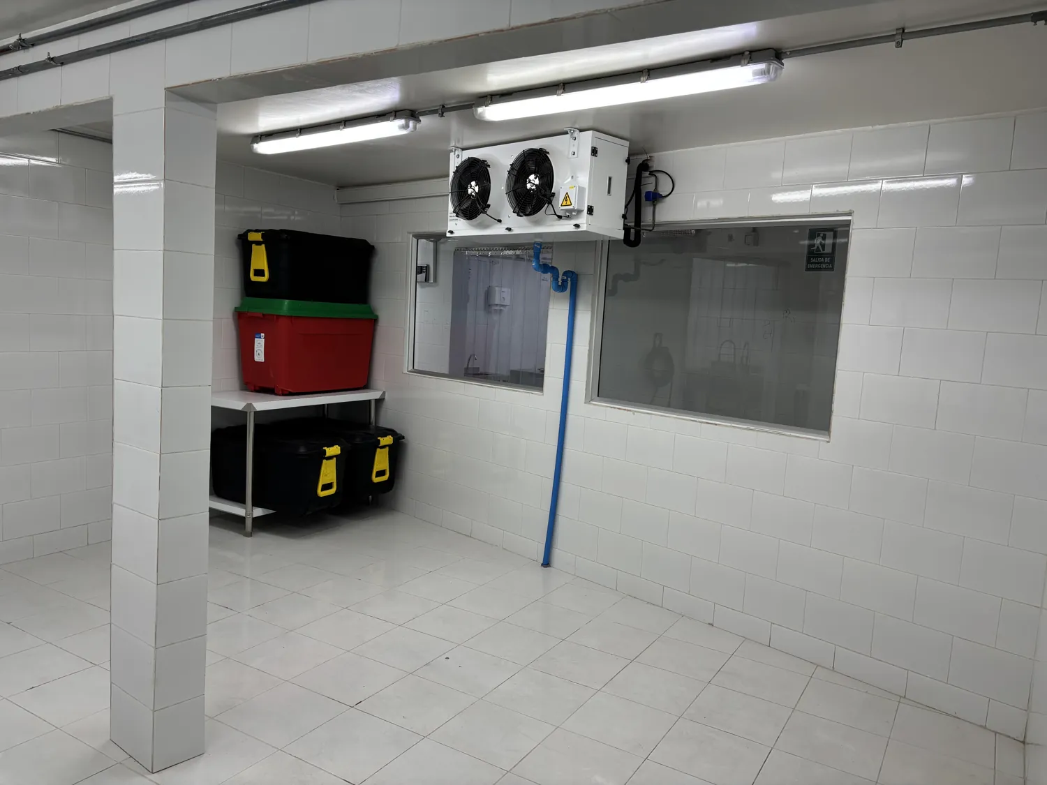 Área de procesamiento de la planta, con equipo de frío y mesa de trabajo de acero