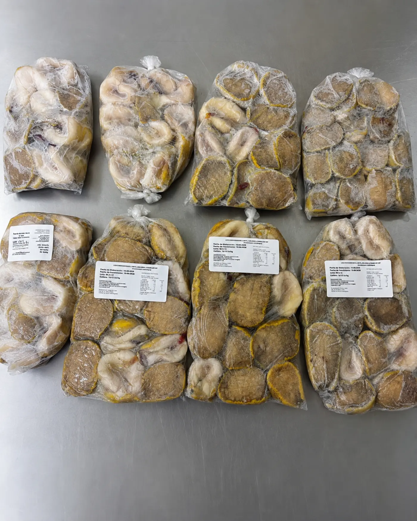 Bolsas de loco congelado IQF calibre 10/13 con etiquetas de trazabilidad, Mariscos Maluko